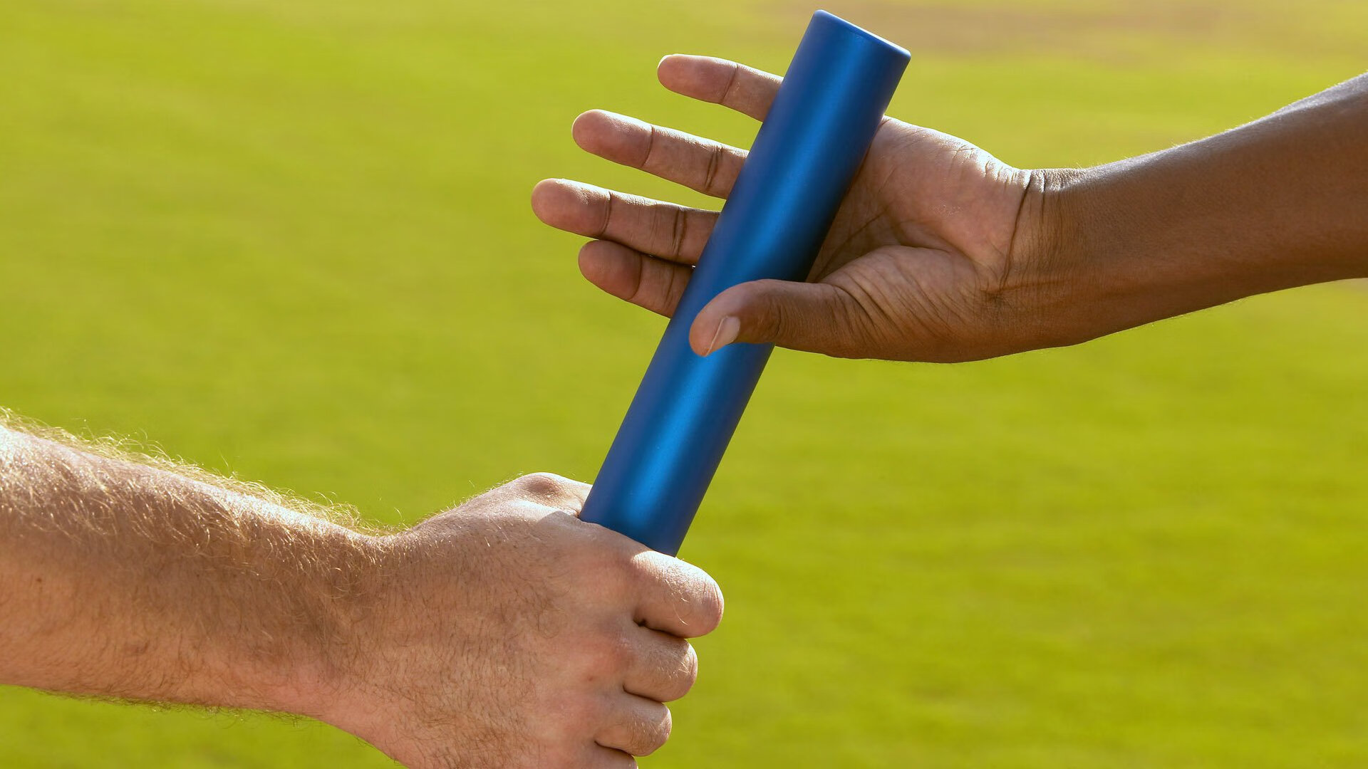 “智慧场馆+绿色基础”行业新标准在全国落地不断推进,绿色标准化生产示范基地