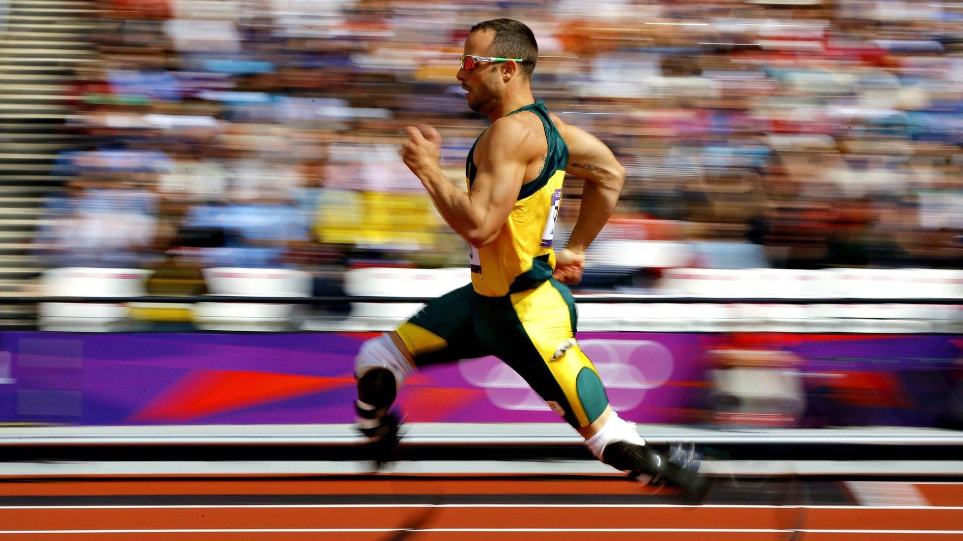 kaiyun.com-“智慧场馆:全场监测、沉浸体验和智能交互体系成为行业新宠”