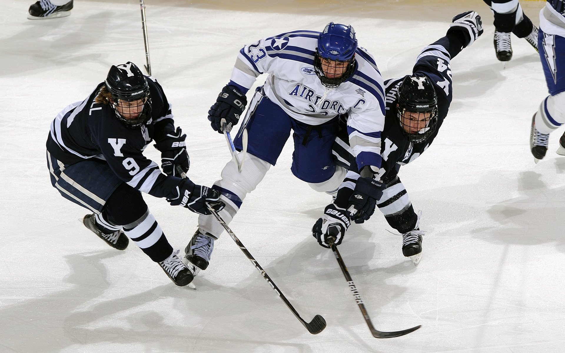 开云体育APP下载-德国马术协会与欧洲马术协会签署合作协议，共同举办国际赛事。
